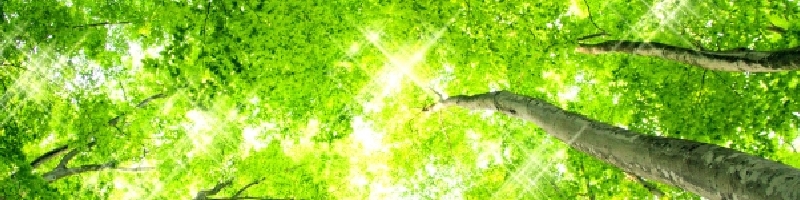 �h���C�u�@�J�悯���T�C�g